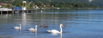 Bourget-le-lac.JPG