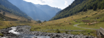 La vallée d'Ossau.JPG