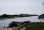 avril 2014 ile d'oleron (2).jpg