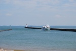 avril 2014 ile d'oleron (5).jpg