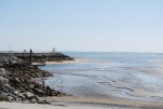 avril 2014 ile d'oleron (2).jpg