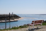 avril 2014 ile d'oleron (5).jpg
