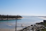 avril 2014 ile d'oleron (6).jpg