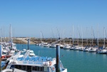 avril 2014 ile d'oleron (7).jpg