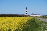 Le phare de Chassiron (2).jpg