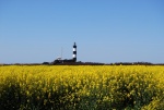 Le phare de Chassiron (9).jpg