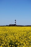 Le phare de Chassiron (10).jpg
