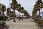 Thau-4-Marsseilan-plage (11).JPG