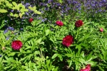 Les jardins de Valloire (33).JPG