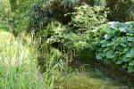 Les jardins de Valloire (48).JPG