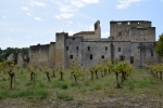 larressingle (2).JPG