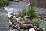 la gacilly--expo photos (42).JPG