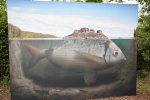 la gacilly--expo photos (50).JPG