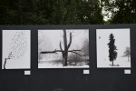 la gacilly--expo photos (56).JPG