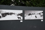 la gacilly--expo photos (60).JPG