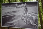la gacilly--expo photos (62).JPG