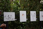 la gacilly--expo photos (68).JPG