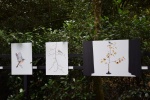 la gacilly--expo photos (69).JPG