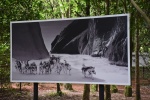 la gacilly--expo photos (70).JPG