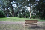 le jardin de Vauville (29).JPG